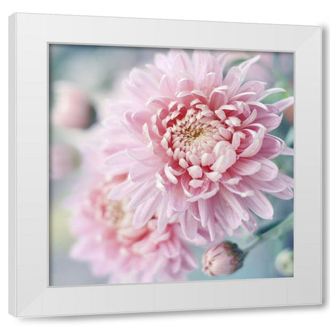 Romantic Blossom White Modern Wood Framed Art Print by Gardner, Sarah
