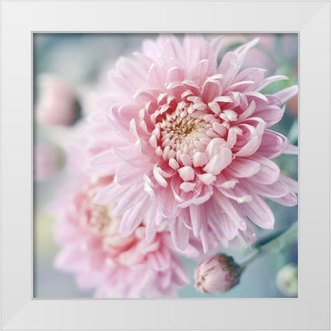 Romantic Blossom White Modern Wood Framed Art Print by Gardner, Sarah