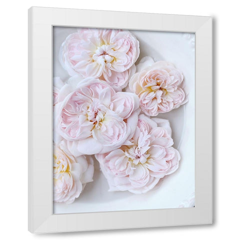 Pink Floating Floral White Modern Wood Framed Art Print by Gardner, Sarah