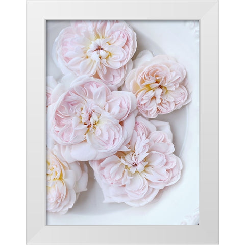 Pink Floating Floral White Modern Wood Framed Art Print by Gardner, Sarah