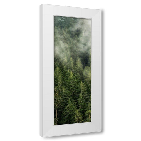 Smoky Forest Panel II White Modern Wood Framed Art Print by Amos, Andy