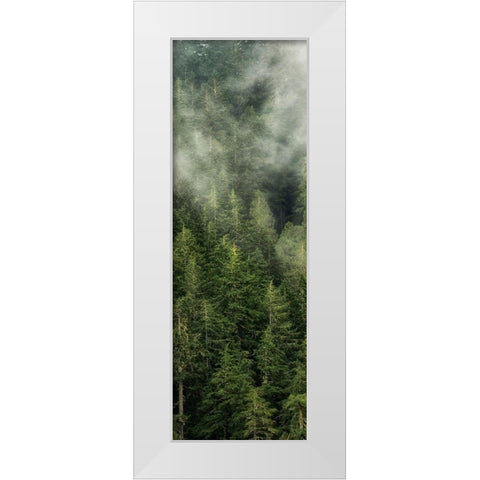 Smoky Forest Panel II White Modern Wood Framed Art Print by Amos, Andy