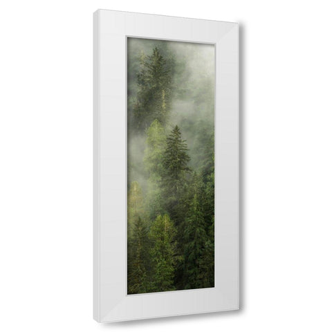 Smoky Forest Panel I White Modern Wood Framed Art Print by Amos, Andy