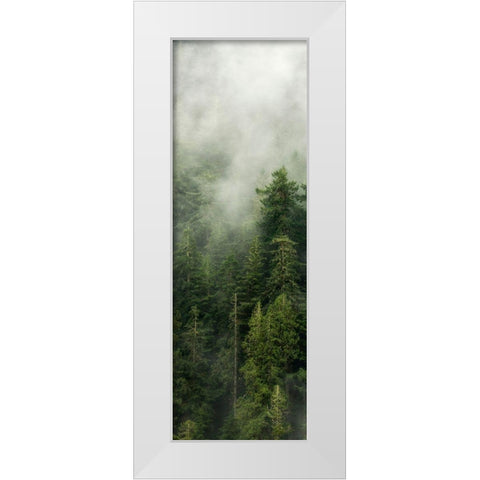 Smoky Forest Panel III White Modern Wood Framed Art Print by Amos, Andy