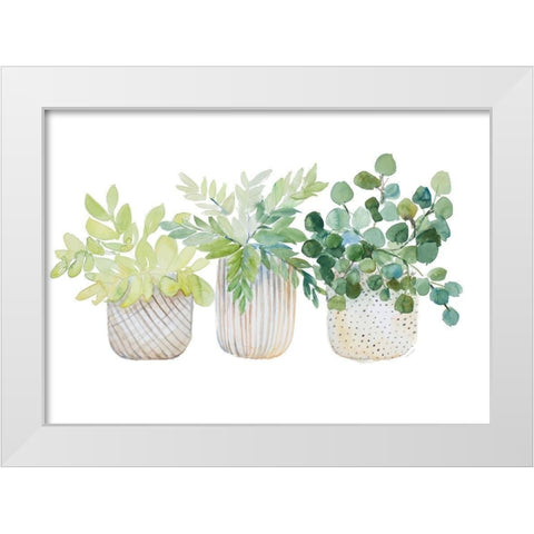 Three Potted Plants White Modern Wood Framed Art Print by Loreth, Lanie
