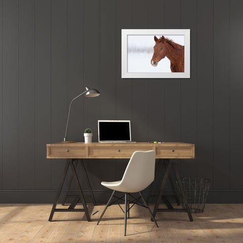Brown Steed in Winter White Modern Wood Framed Art Print by Walker, Carol