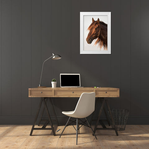 Brown Steed White Modern Wood Framed Art Print by Walker, Carol