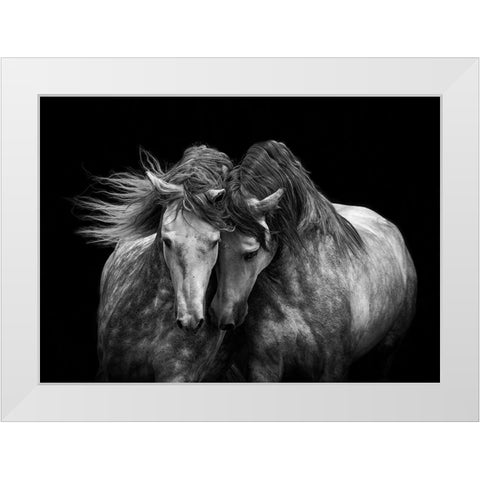 Horses in Love White Modern Wood Framed Art Print by Walker, Carol