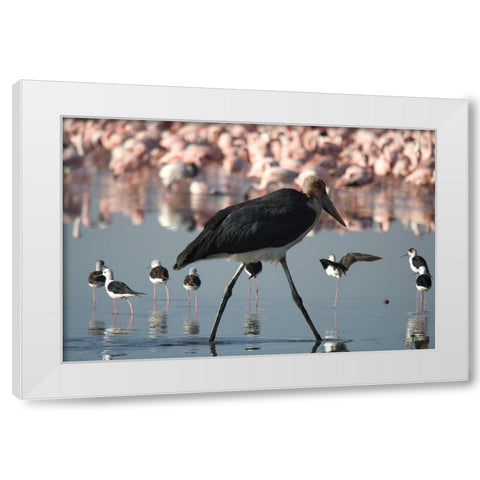 Among the Flock I White Modern Wood Framed Art Print by Walker, Carol