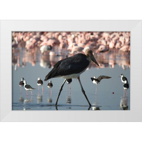 Among the Flock I White Modern Wood Framed Art Print by Walker, Carol