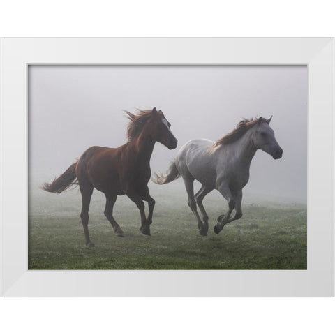 Running Wild White Modern Wood Framed Art Print by Walker, Carol