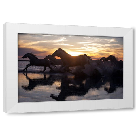 Coastal Horses White Modern Wood Framed Art Print by Walker, Carol