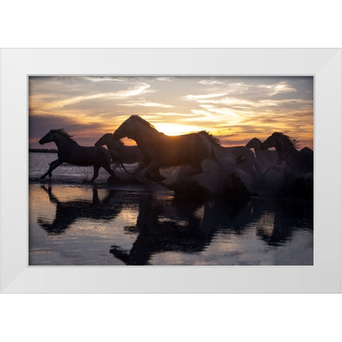 Coastal Horses White Modern Wood Framed Art Print by Walker, Carol