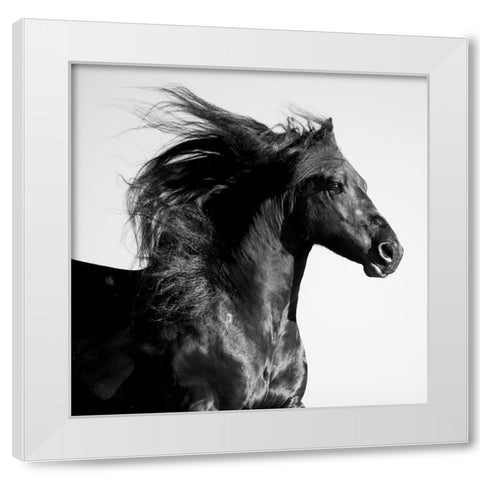 Black Horse White Modern Wood Framed Art Print by Walker, Carol