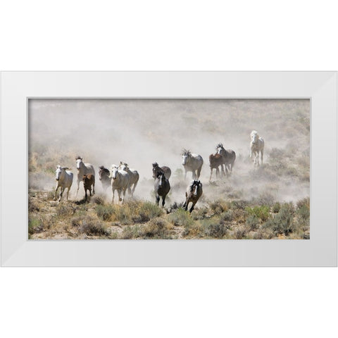 Horses Out West White Modern Wood Framed Art Print by Walker, Carol