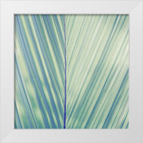 Vintage Palm Leaf I White Modern Wood Framed Art Print by Mansfield, Kathy