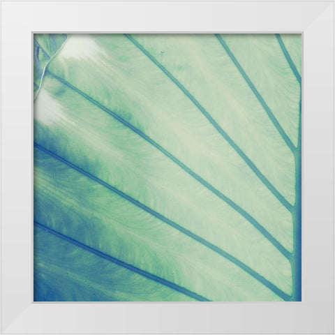 Vintage Palm Leaf II White Modern Wood Framed Art Print by Mansfield, Kathy