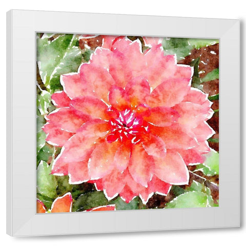 Pink Wash Peony White Modern Wood Framed Art Print by Mansfield, Kathy