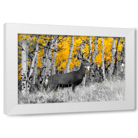 Buck White Modern Wood Framed Art Print by Mansfield, Kathy