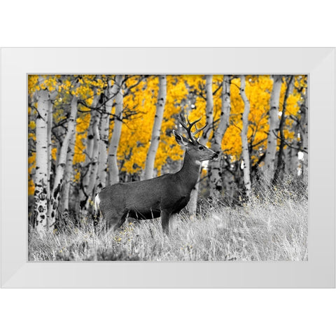 Buck White Modern Wood Framed Art Print by Mansfield, Kathy
