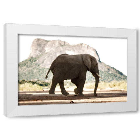 Lone Ele White Modern Wood Framed Art Print by Niassa Lion Project