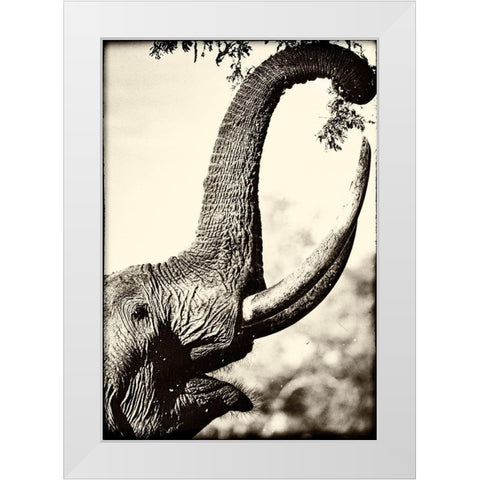Reaching High White Modern Wood Framed Art Print by Niassa Lion Project