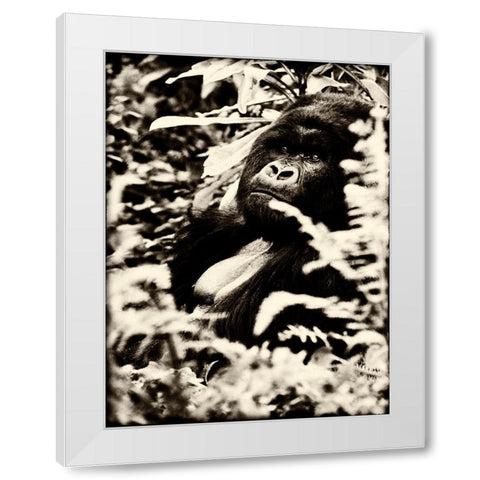 Gorilla White Modern Wood Framed Art Print by Niassa Lion Project