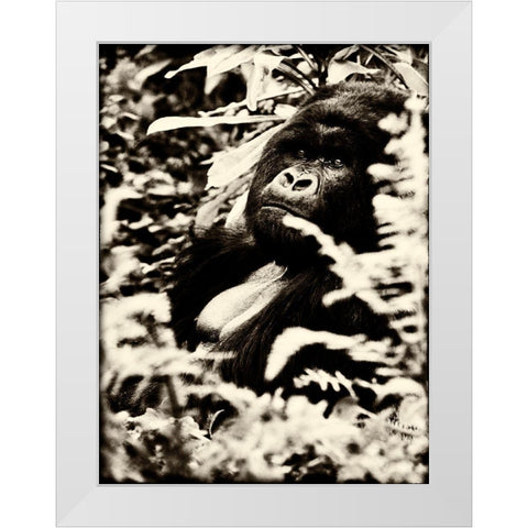 Gorilla White Modern Wood Framed Art Print by Niassa Lion Project