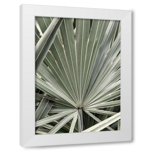 Organic Palm I White Modern Wood Framed Art Print by Amos, Andy