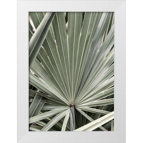 Organic Palm I White Modern Wood Framed Art Print by Amos, Andy