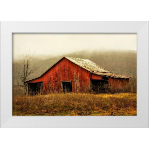 Skylight Barn in the Fog White Modern Wood Framed Art Print by Amos, Andy