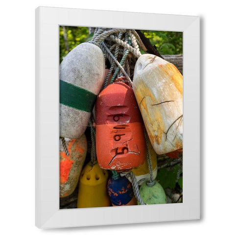Boat Bumpers II White Modern Wood Framed Art Print by Amos, Andy