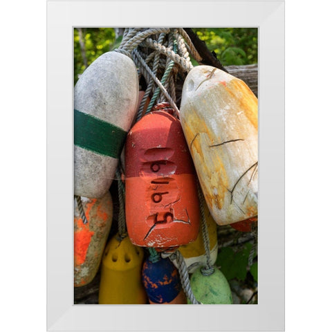 Boat Bumpers II White Modern Wood Framed Art Print by Amos, Andy