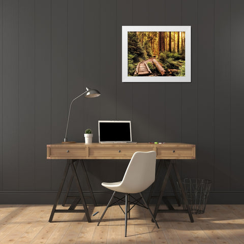 Nature Hiking Trail White Modern Wood Framed Art Print by Amos, Andy