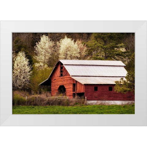 Skylight Red Barn White Modern Wood Framed Art Print by Amos, Andy