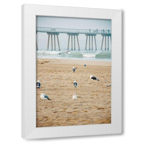 Seagull Coast White Modern Wood Framed Art Print by Bill Carson Photography