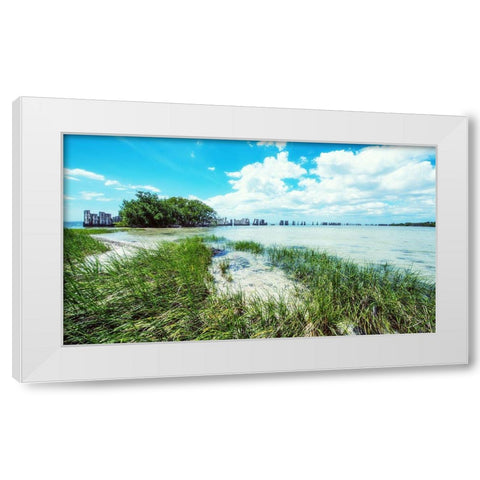 Tropical Coastline White Modern Wood Framed Art Print by Bill Carson Photography