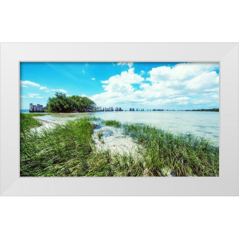 Tropical Coastline White Modern Wood Framed Art Print by Bill Carson Photography
