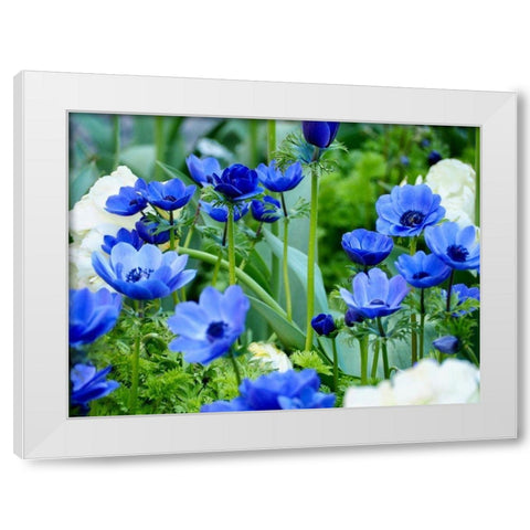 Vibrant Blue Hues White Modern Wood Framed Art Print by Peck, Gail