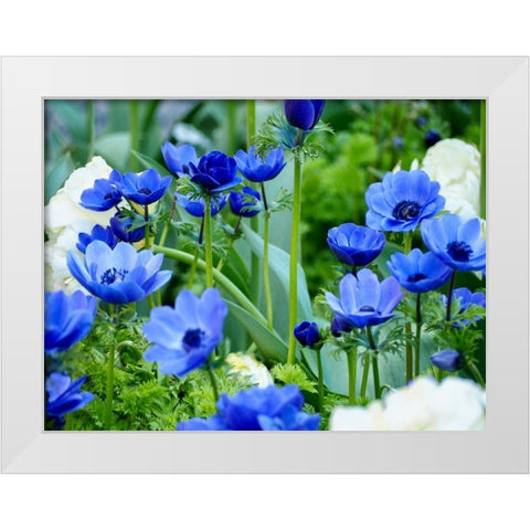 Vibrant Blue Hues White Modern Wood Framed Art Print by Peck, Gail
