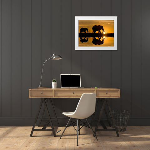 Elephants at Sundown White Modern Wood Framed Art Print by Jimmyz