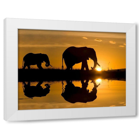 Elephants at Sundown White Modern Wood Framed Art Print by Jimmyz