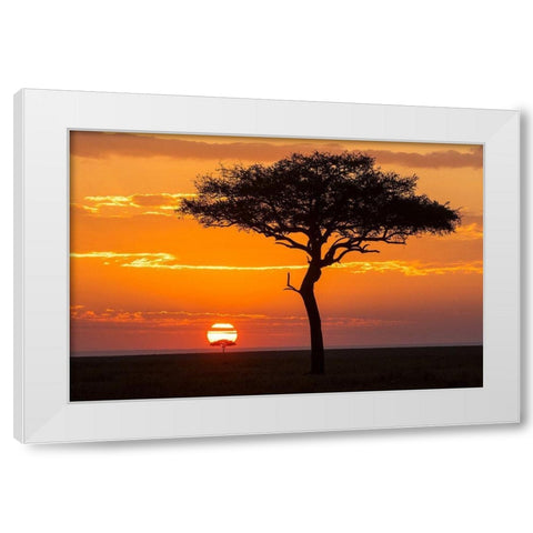 African Sunset II White Modern Wood Framed Art Print by Jimmyz