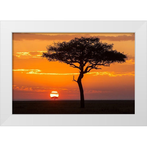 African Sunset II White Modern Wood Framed Art Print by Jimmyz