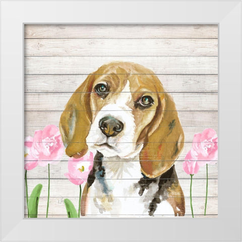 Beagle With Flowers White Modern Wood Framed Art Print by Pinto, Patricia