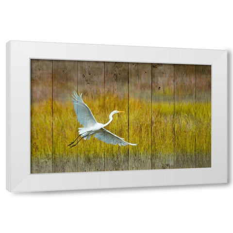 Golden Hour White Modern Wood Framed Art Print by Mansfield, Kathy