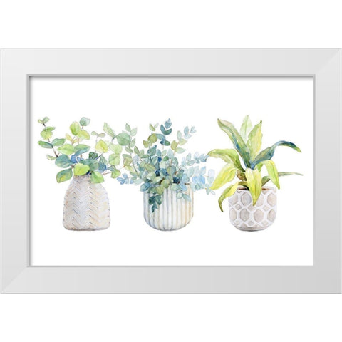 Decorative Plant Trio I White Modern Wood Framed Art Print by Loreth, Lanie
