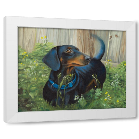 Dachshund White Modern Wood Framed Art Print by Hakimipour, Tiffany