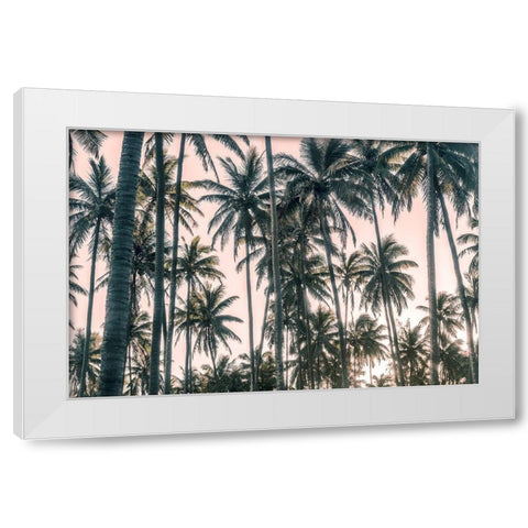 Palms View on Pink Sky I White Modern Wood Framed Art Print by Amos, Andy