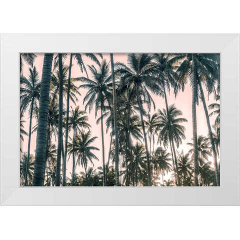 Palms View on Pink Sky I White Modern Wood Framed Art Print by Amos, Andy
